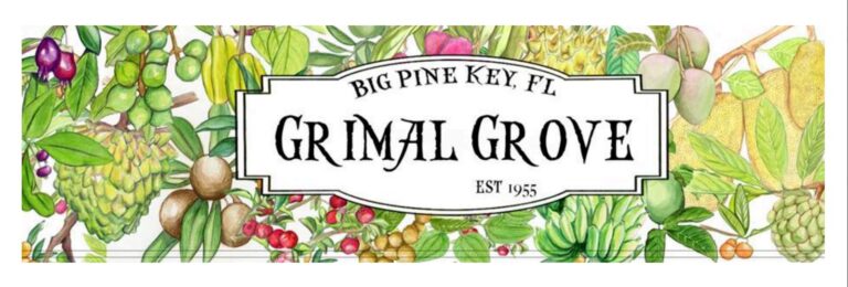 Read more about the article Growing Hope — Historic Grimal Grove Re-opening, becoming ‘Grove of the Future’